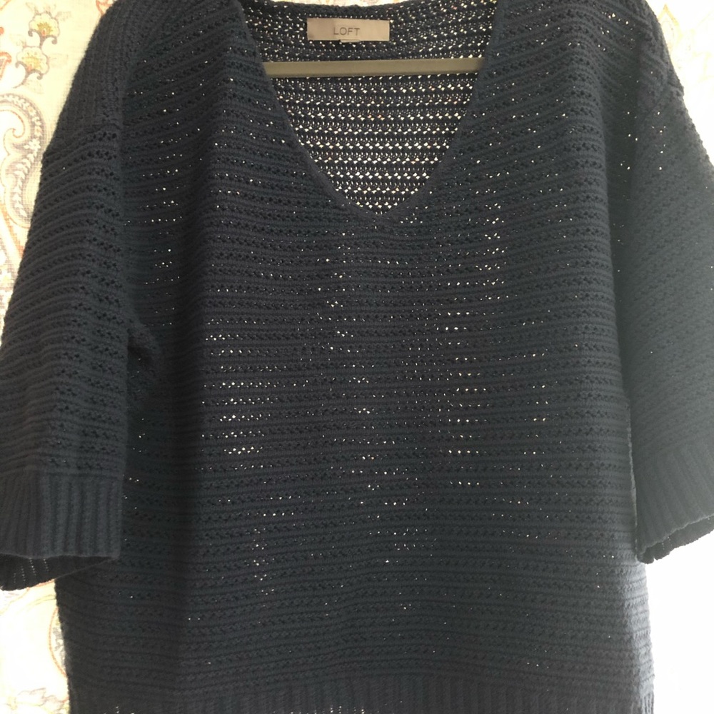 Anne Taylor Loft Sweater